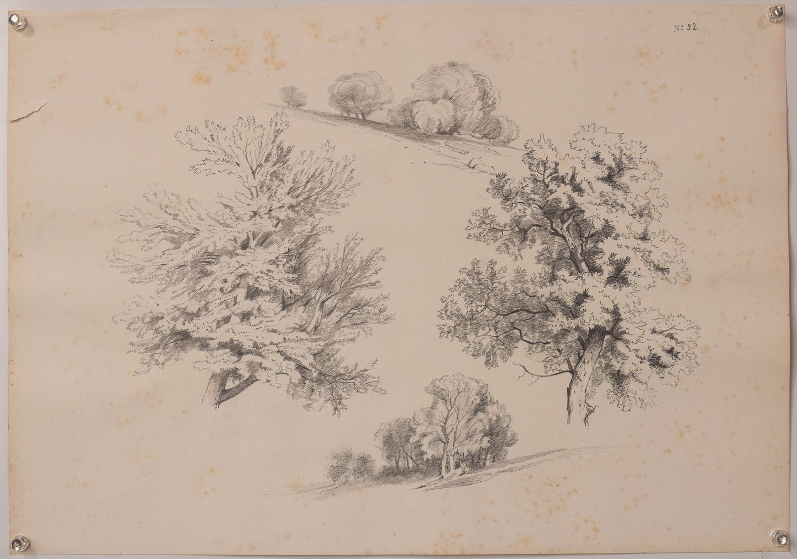 Art Set Of 11 Pencil Studies Of Nature photo