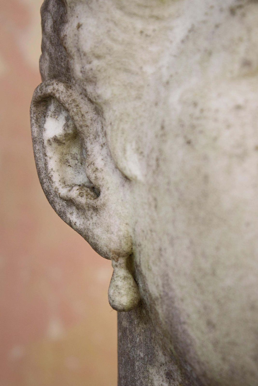 19th Century Philanthropist Annie, Lady Jerningham Large Marble Bust W.R.Ingram photo Art