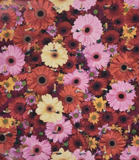 Damien Hirst (British B. 1965) Beautiful Inside My Head photo 295.0