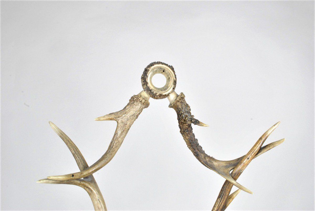 Glass Holder And Bottle In Horn, End Of The Xi Xth Century photo 741.0