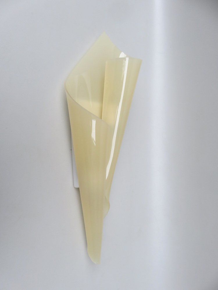 Xxl Acrylic Glass Wall Lights By Hanns Hoffmann Lederer For Hl Leuchten, 1960s, Set Of 2 photo buy
