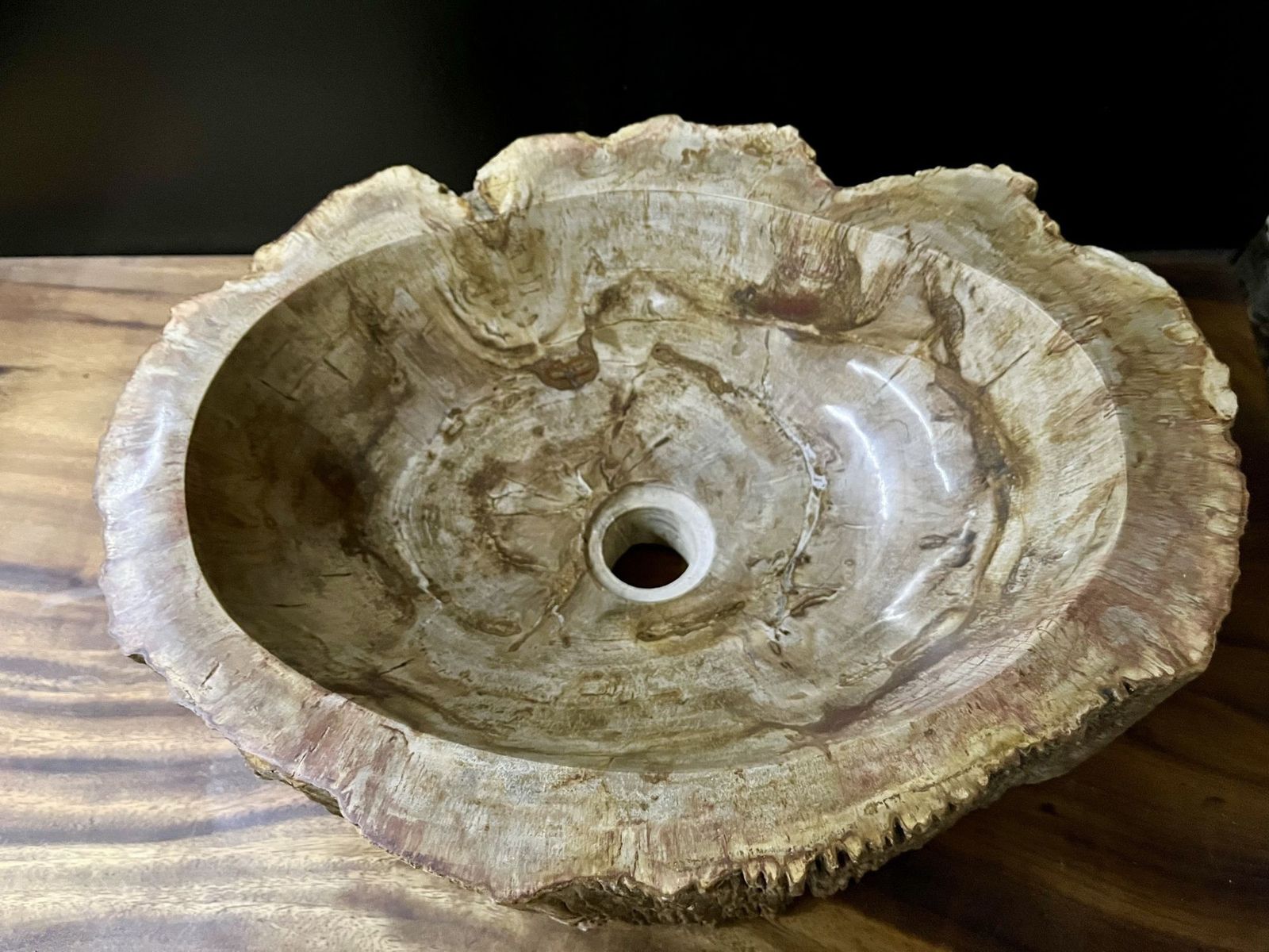 Petrified Wood Sink Beige/ Brown/ Grey Tones, Polished   Top Quality photo furniture
