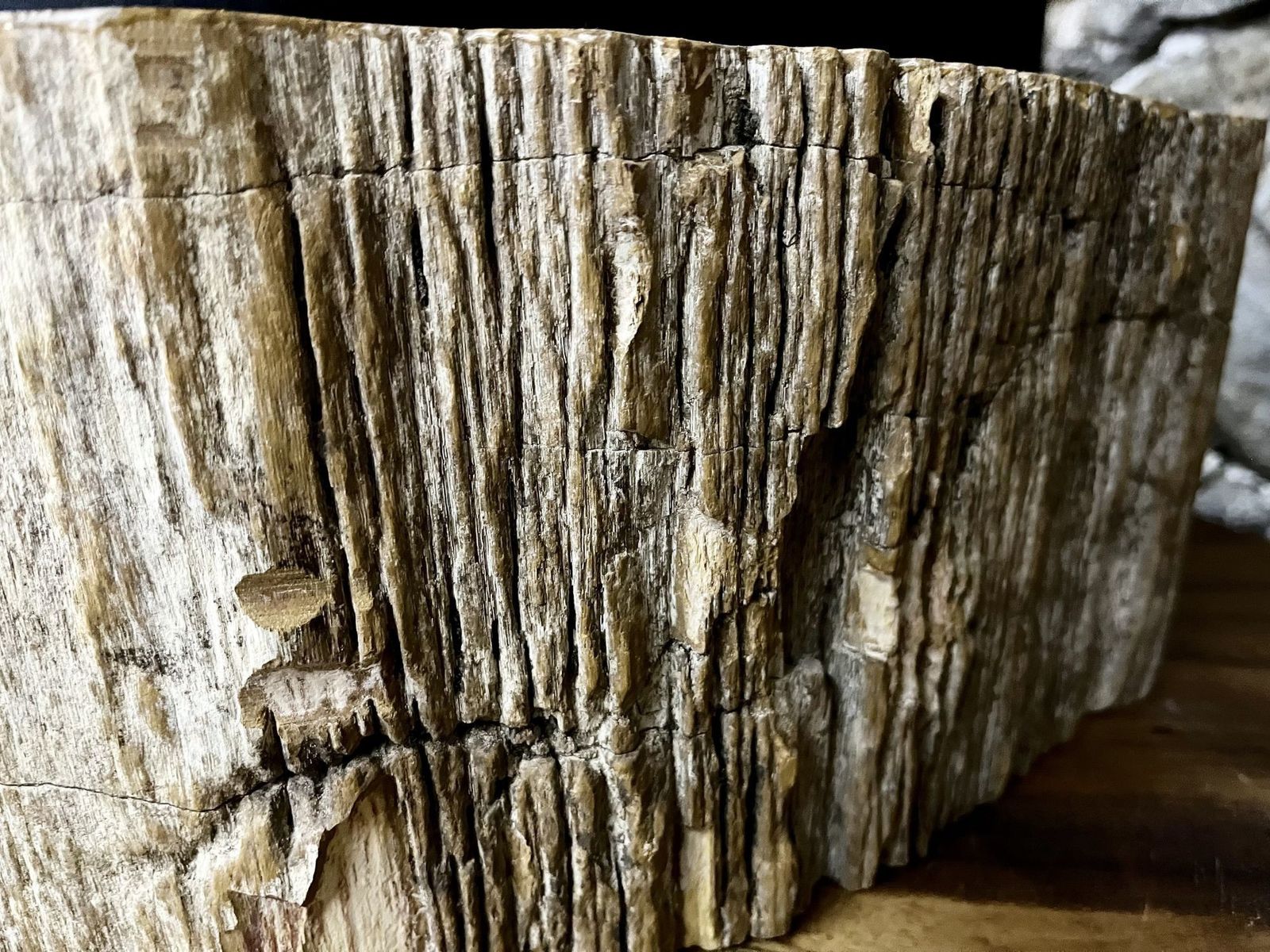 Petrified Wood Sink Beige/ Brown/ Grey Tones, Polished   Top Quality photo vinterior