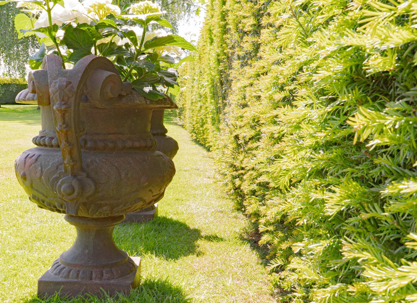 A Pair Of Antique Cast Iron French Garden Urns photo buy
