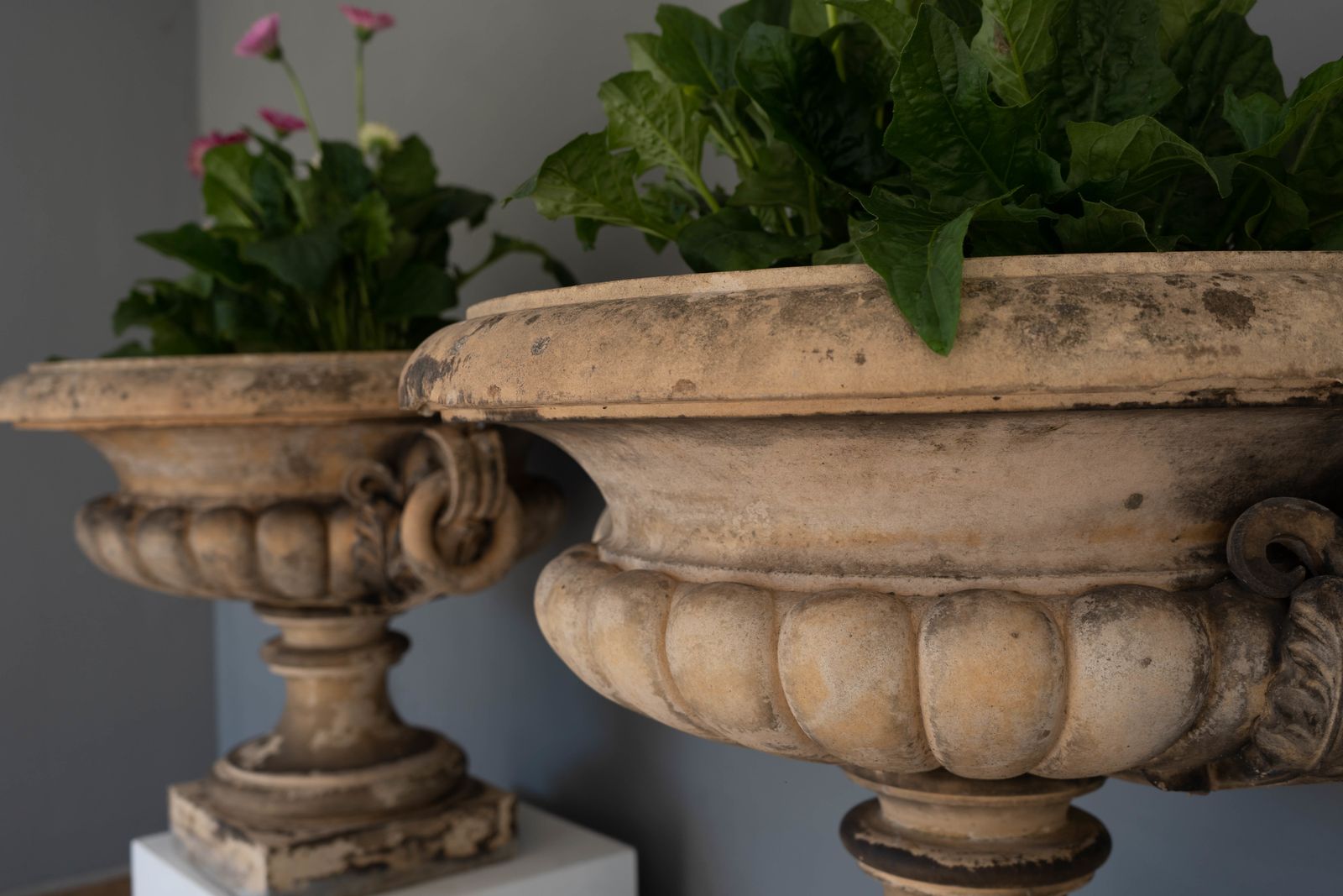 photo for sale Pair Of Antique James Pulham Garden Urns