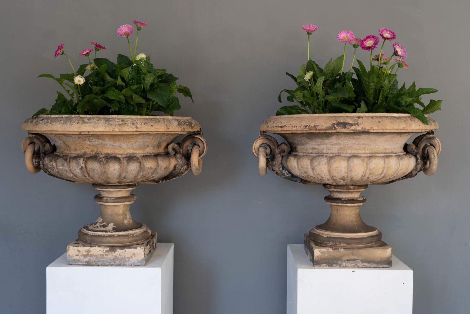 photo vinterior Pair Of Antique James Pulham Garden Urns
