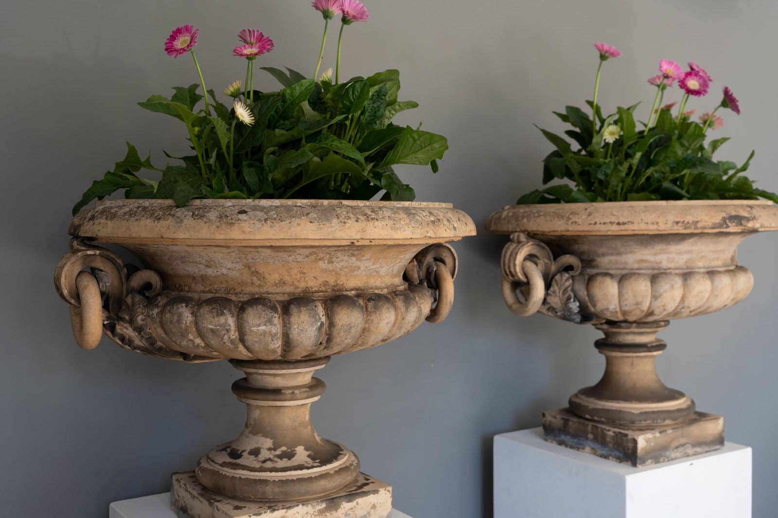 photo buy Pair Of Antique James Pulham Garden Urns