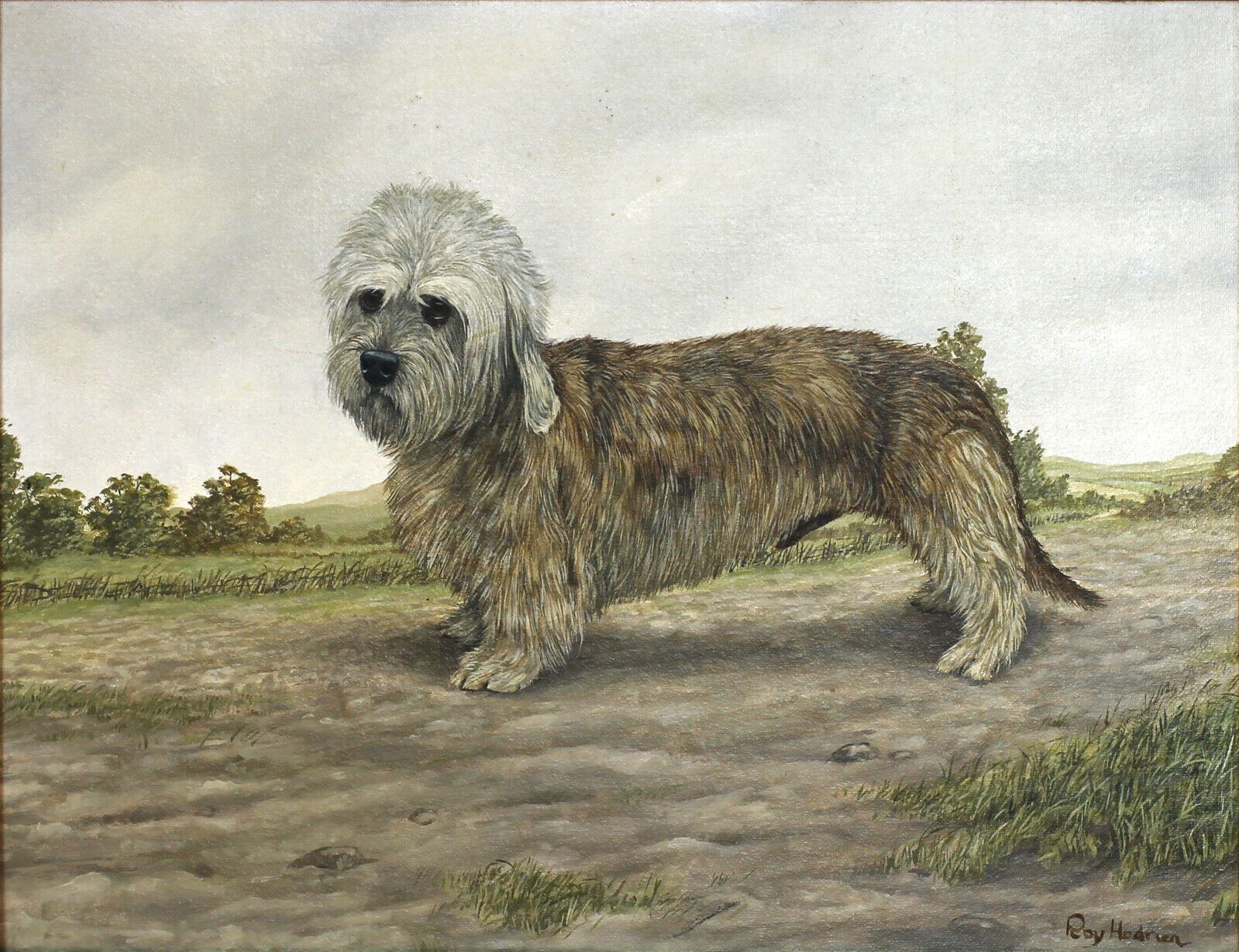 Oil On Board By Roy Hodrien. A Dandie Dinmont Terrier. photo furniture