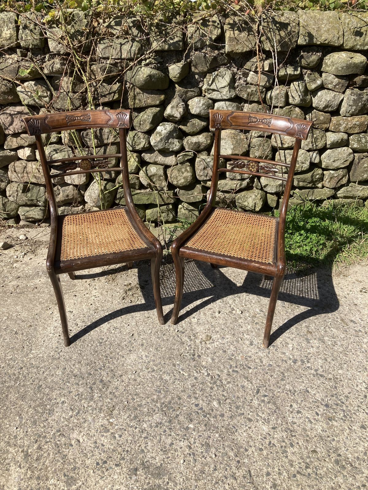 Pair Of 1800s Simulated Rosewood, Cane, Saber Leg Dining Chairs photo furniture