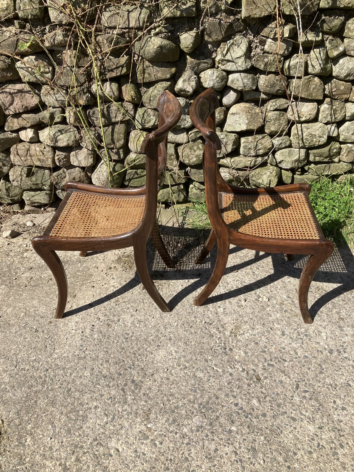 photo furniture Pair Of 1800s Simulated Rosewood, Cane, Saber Leg Dining Chairs