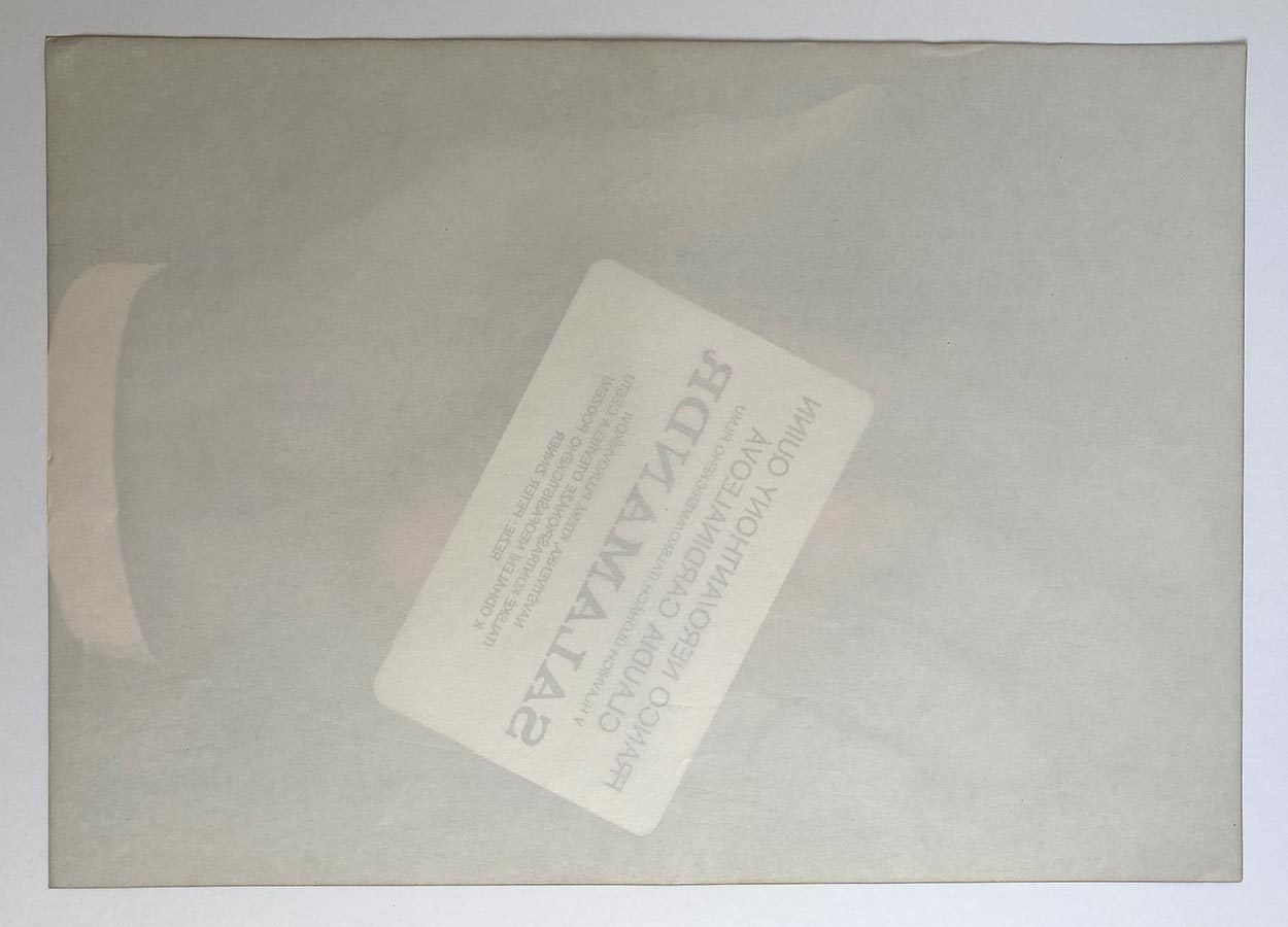 Movie Poster, The Salamander, Karel Vaca, 1982 photo vinterior