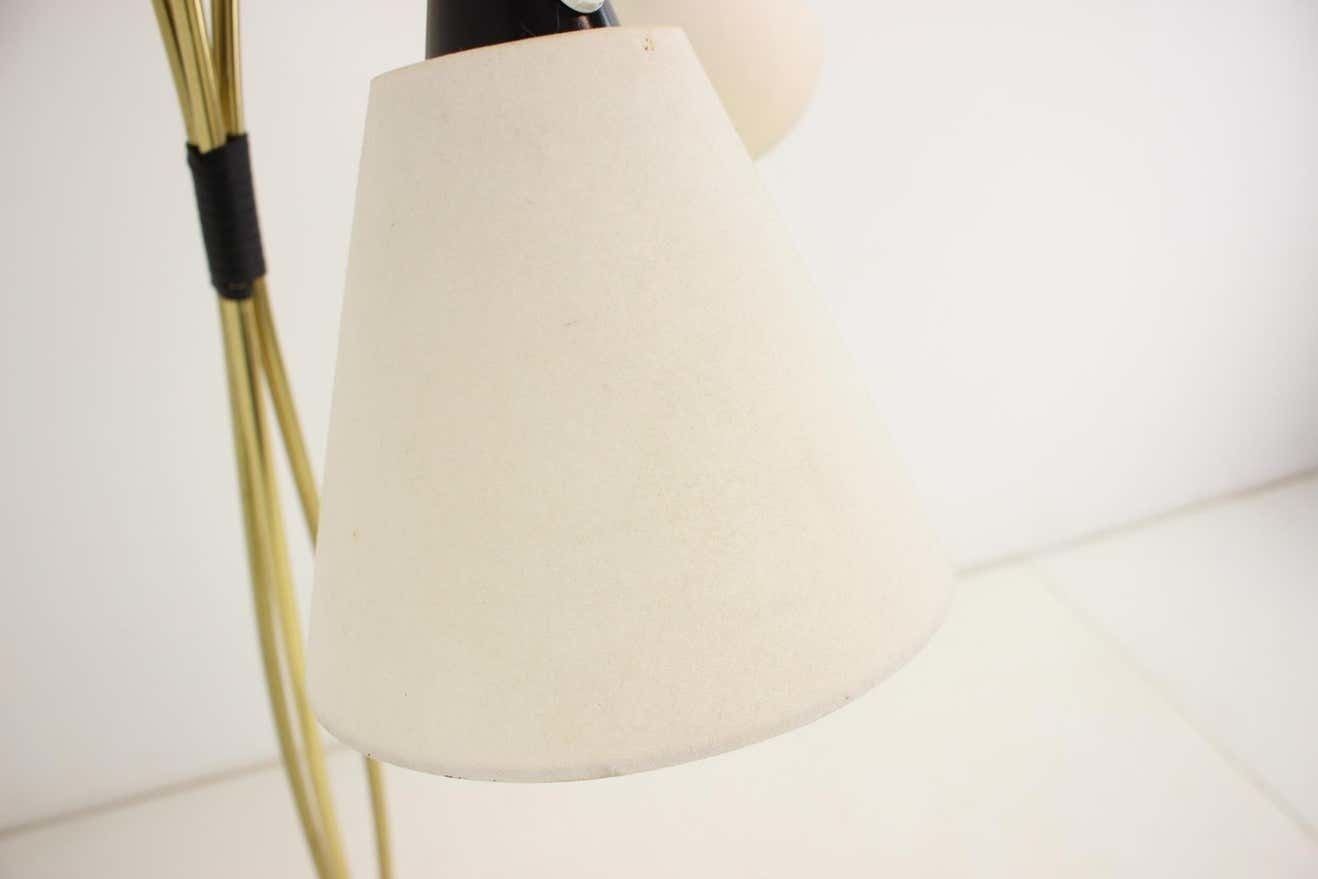 photo vinterior 1950s Brass Floor Lamp, Czechoslovakia