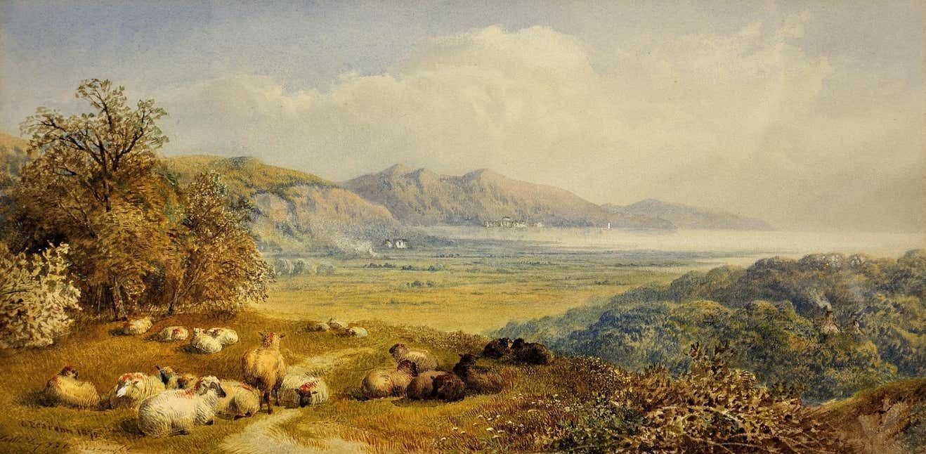Cornelius Pearson 1805 To 1891. Crymlyn Bog And Neath River Estuary Swansea Bay 1872. Wales. Afon Nedd, Bae Abertawe. Framed Watercolour Painting. photo furniture