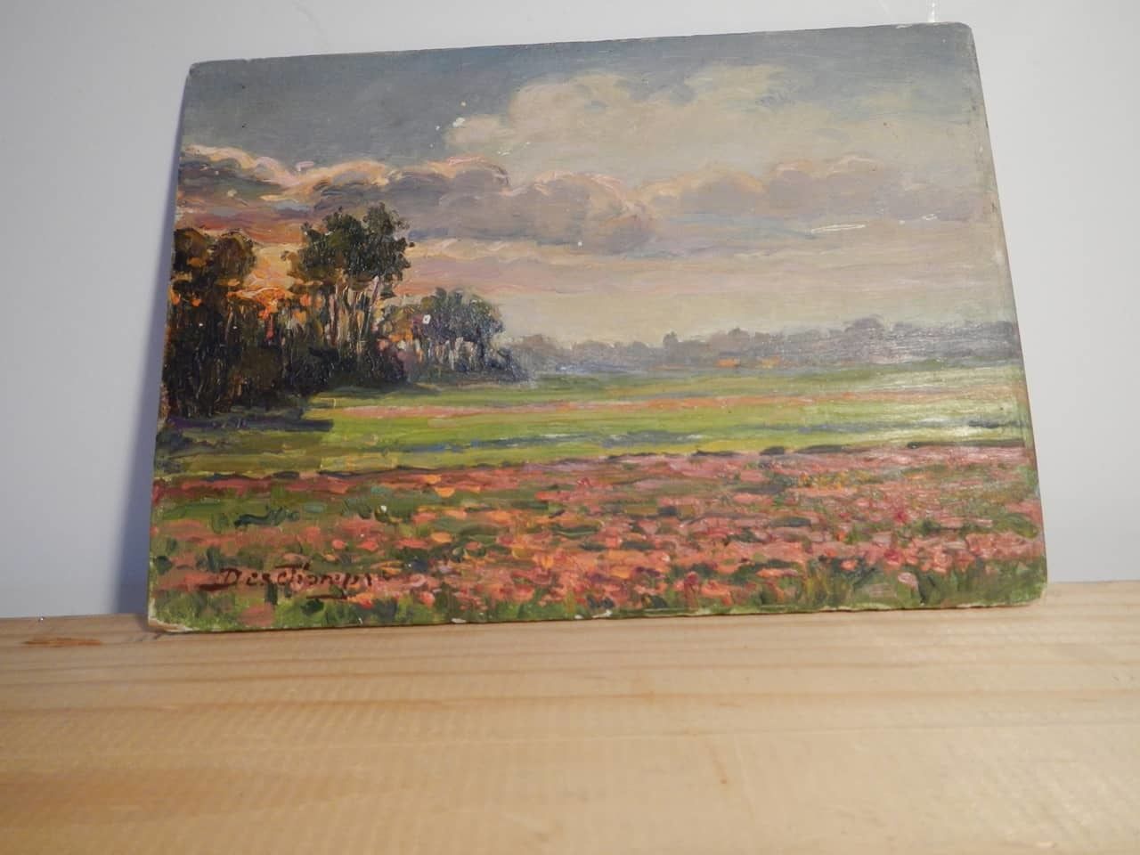Art Oil Painting By Des Champs " Coucher De Soleil" photo