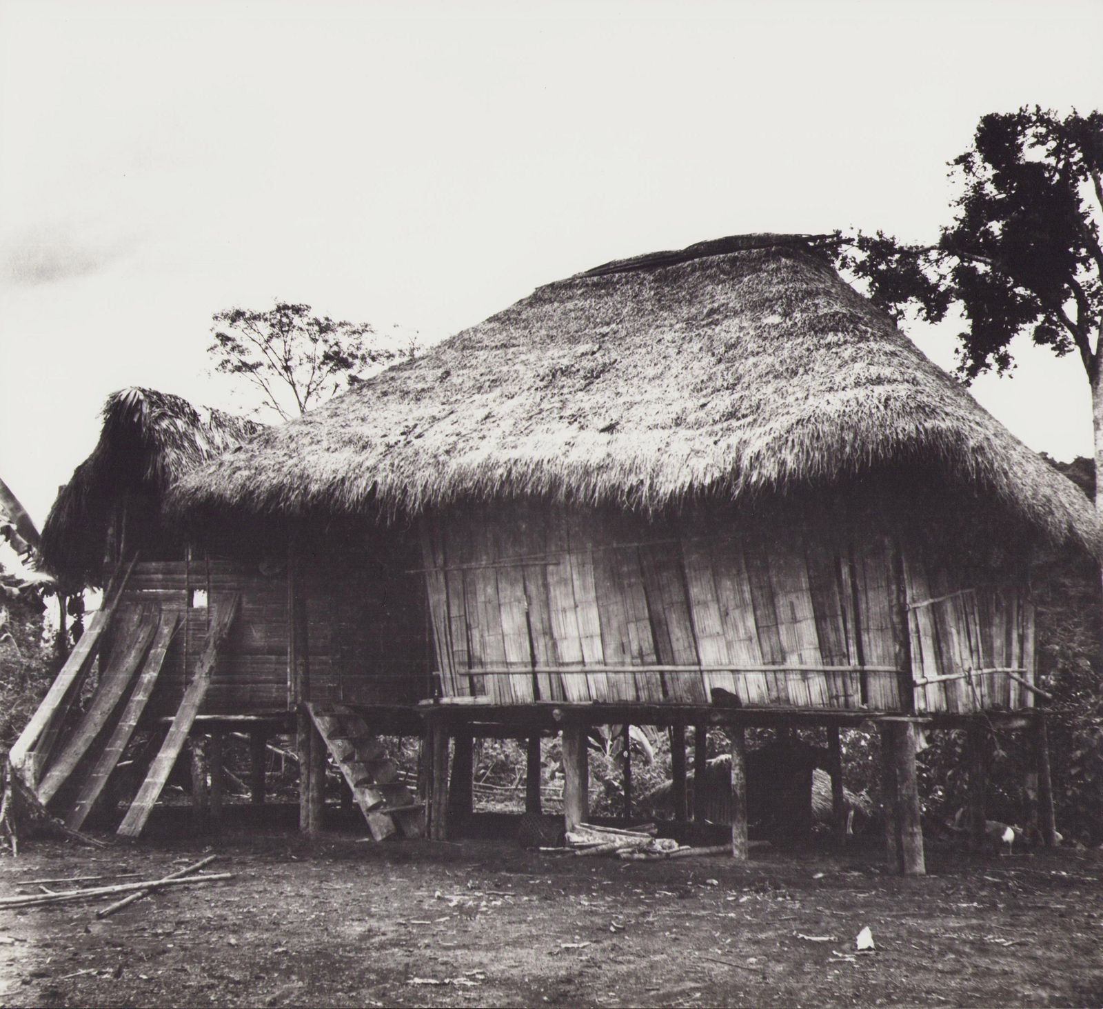 Hanna Seidel Ecuador, Indigenous Hut, Black And White Photography, 1960s, Ca. 1960s