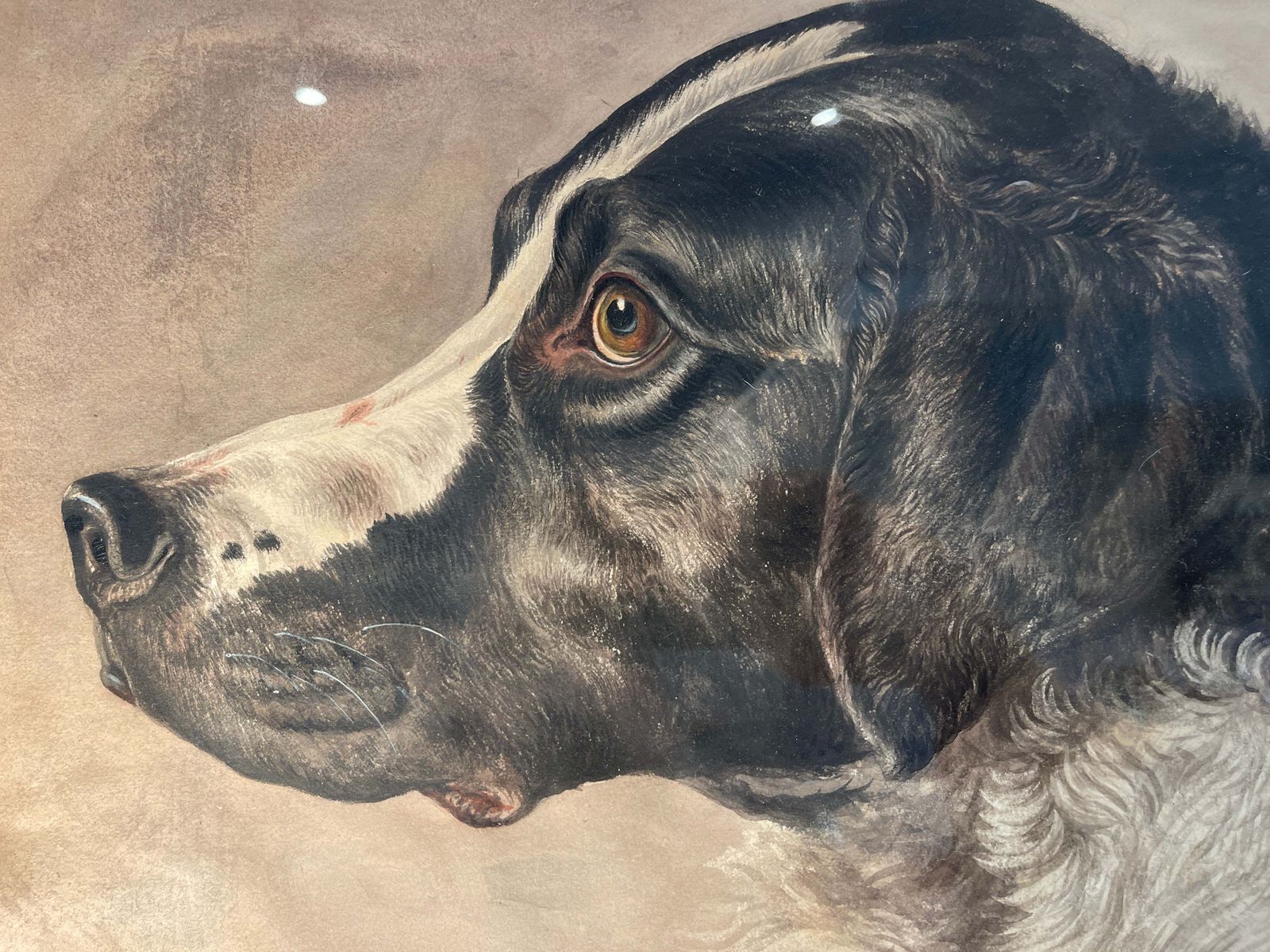 Rare Early Antique Watercolour Of Dog By Sought After/Collected French Artist Paul Allier Paris 1883   1953 photo furniture