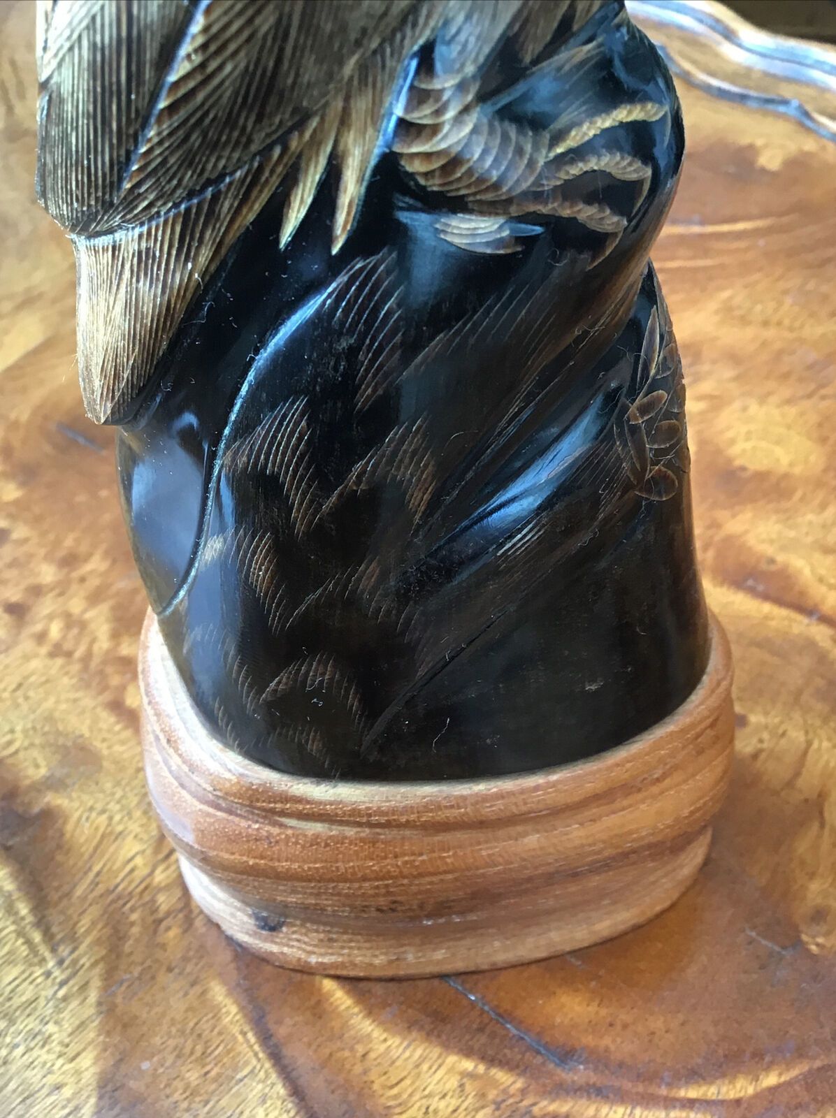 50.0 Intricately Carved Bovine Horn In The Form Of Eagle Glass Eyes Wooden Plinth photo