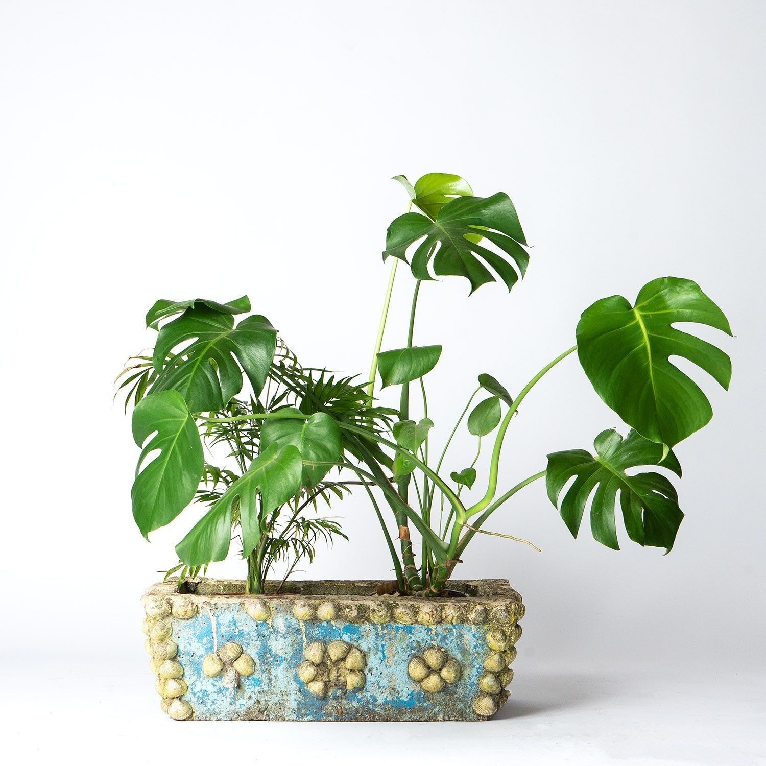 Vintage French Painted Cast Stone Sea Shell Planter Jardiniere, C. 1950s Mid Century photo furniture