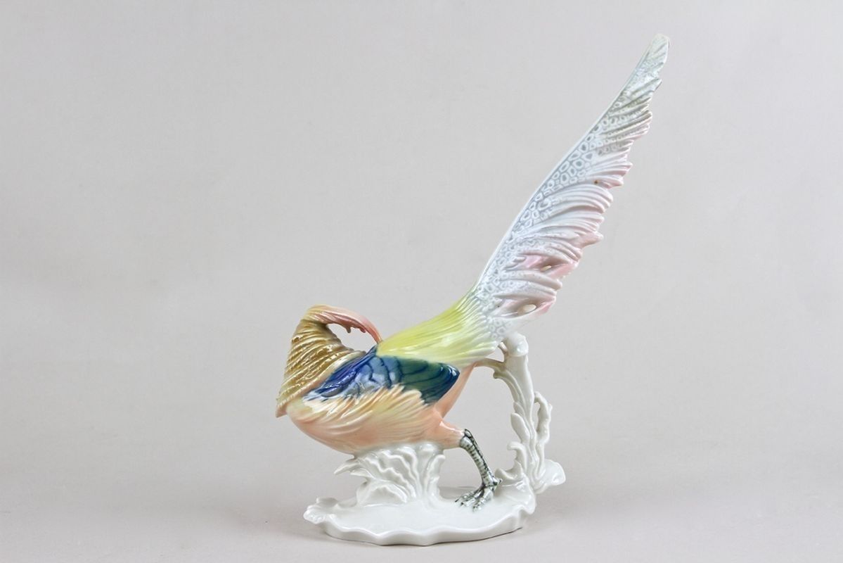 Porcelain Figurine "Golden Pheasant" By F. Karl Ens, Germany Circa 1920 photo 439.0