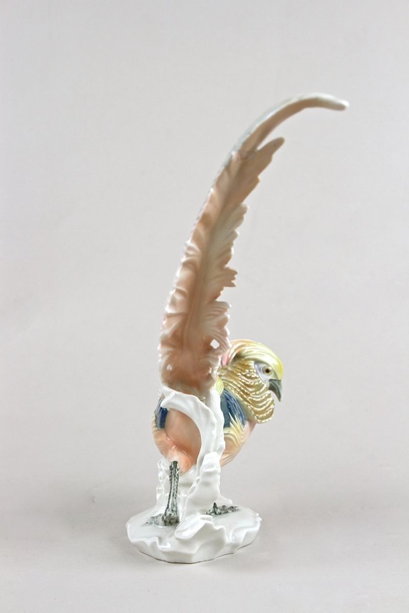 Porcelain Figurine "Golden Pheasant" By F. Karl Ens, Germany Circa 1920 photo buy