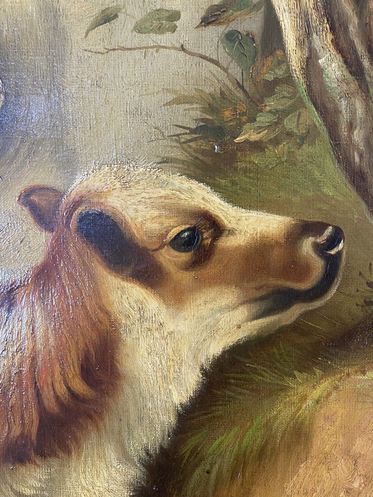 Fine Quality A H Milton Drinkwater Calves In Landscape Oil Painting Dated 1901 photo vintage