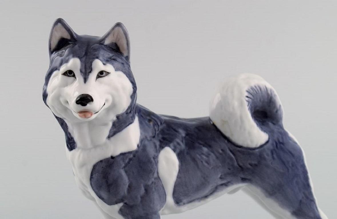 Royal Copenhagen Porcelain Figurine Siberian Husky Model Number 038 photo Art