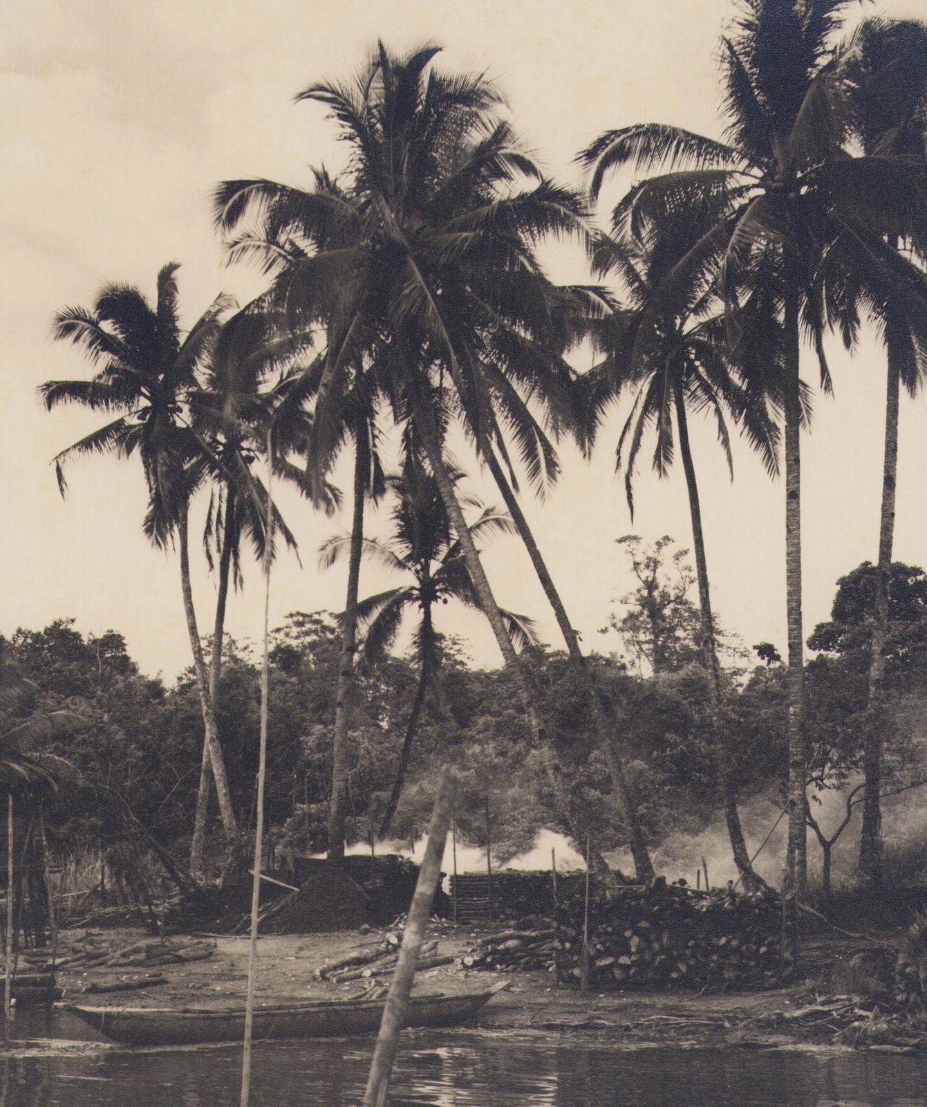 Hanna Seidel Colombia, Palm Trees, Black And White Photograph, 1960s,  Circa 1960s photo furniture