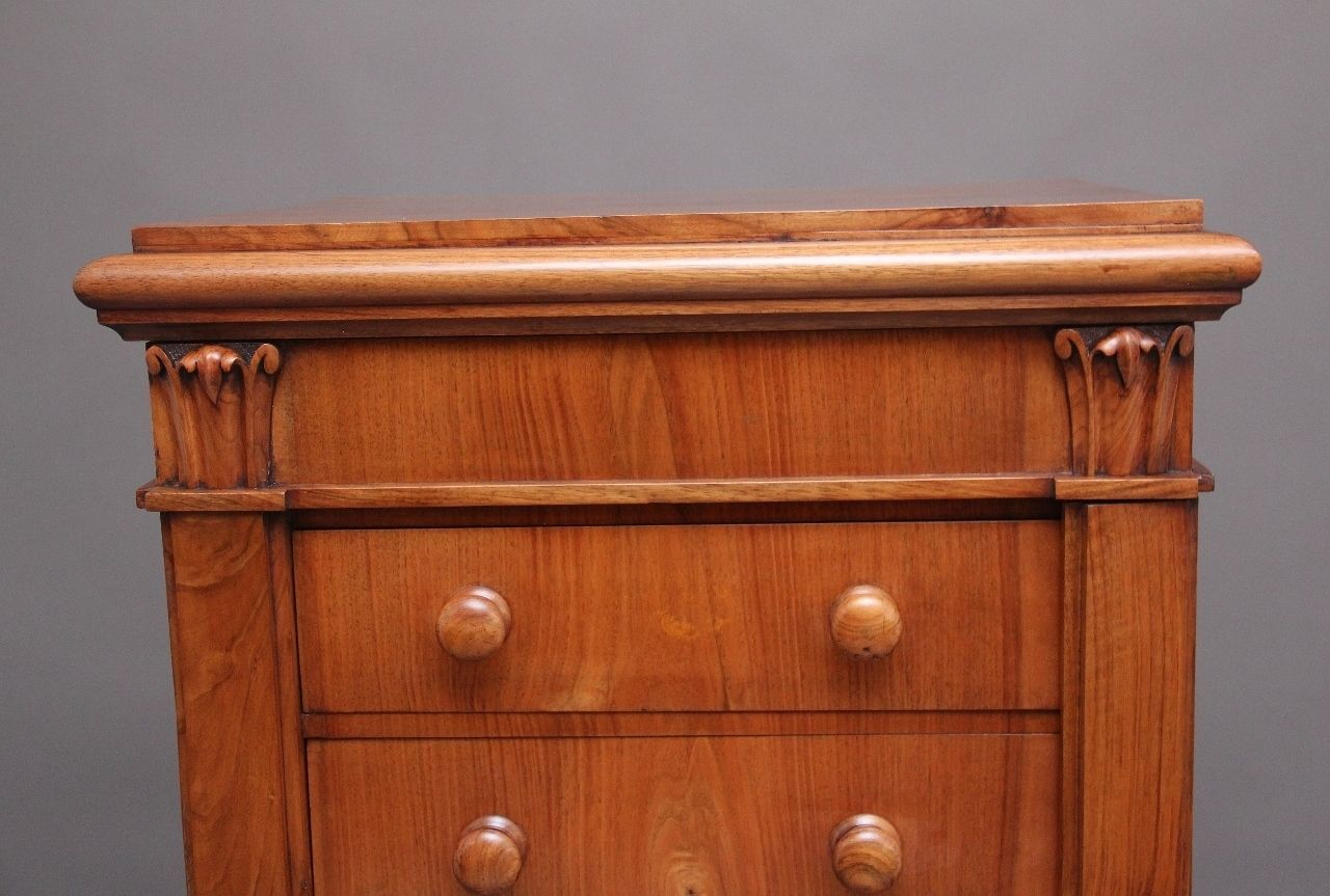 Early 19th Century Antique Regency Walnut Wellington Chest photo vintage