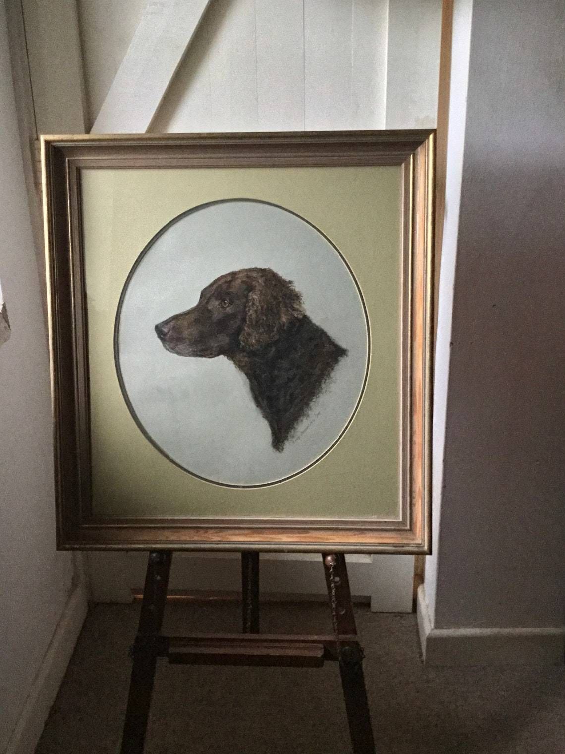 Portrait Of A Dog  Retriever Or Spaniel In Pastels In Original Frame 1970s photo vinterior