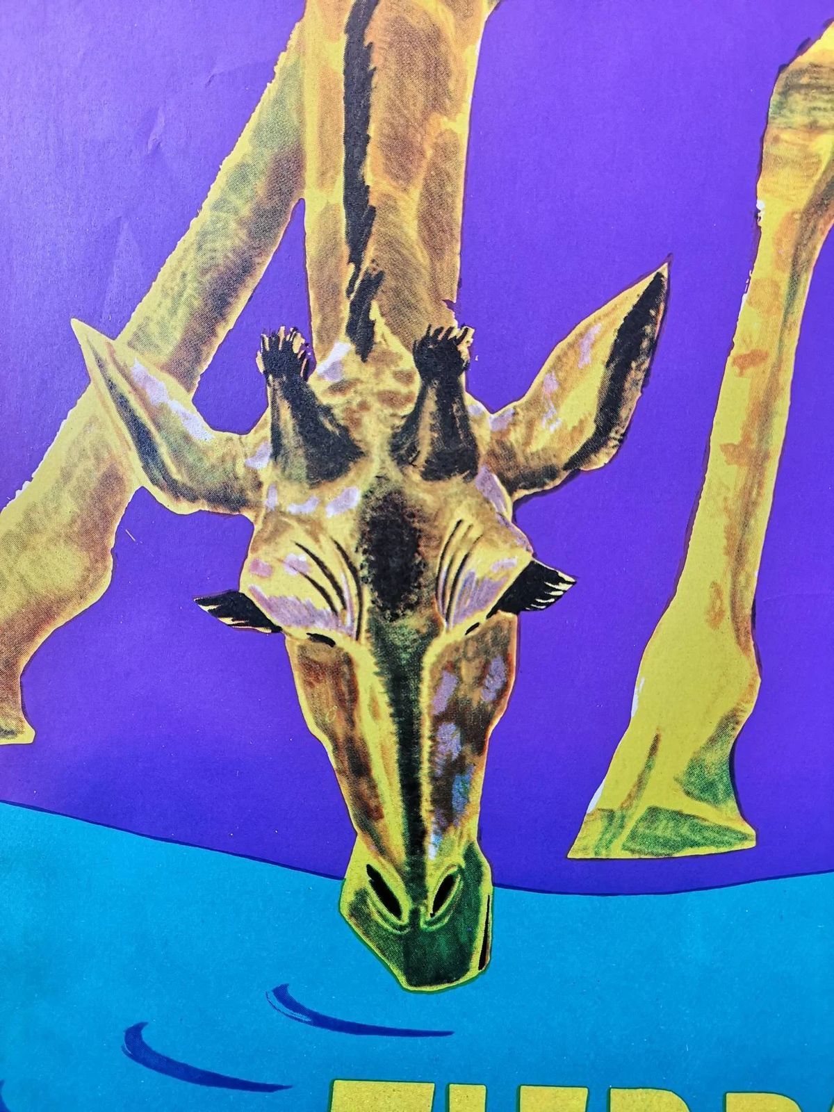 Vintage 1970s Tierpark Berlin Original Zoo Poster Advertising Of A Giraffe photo buy