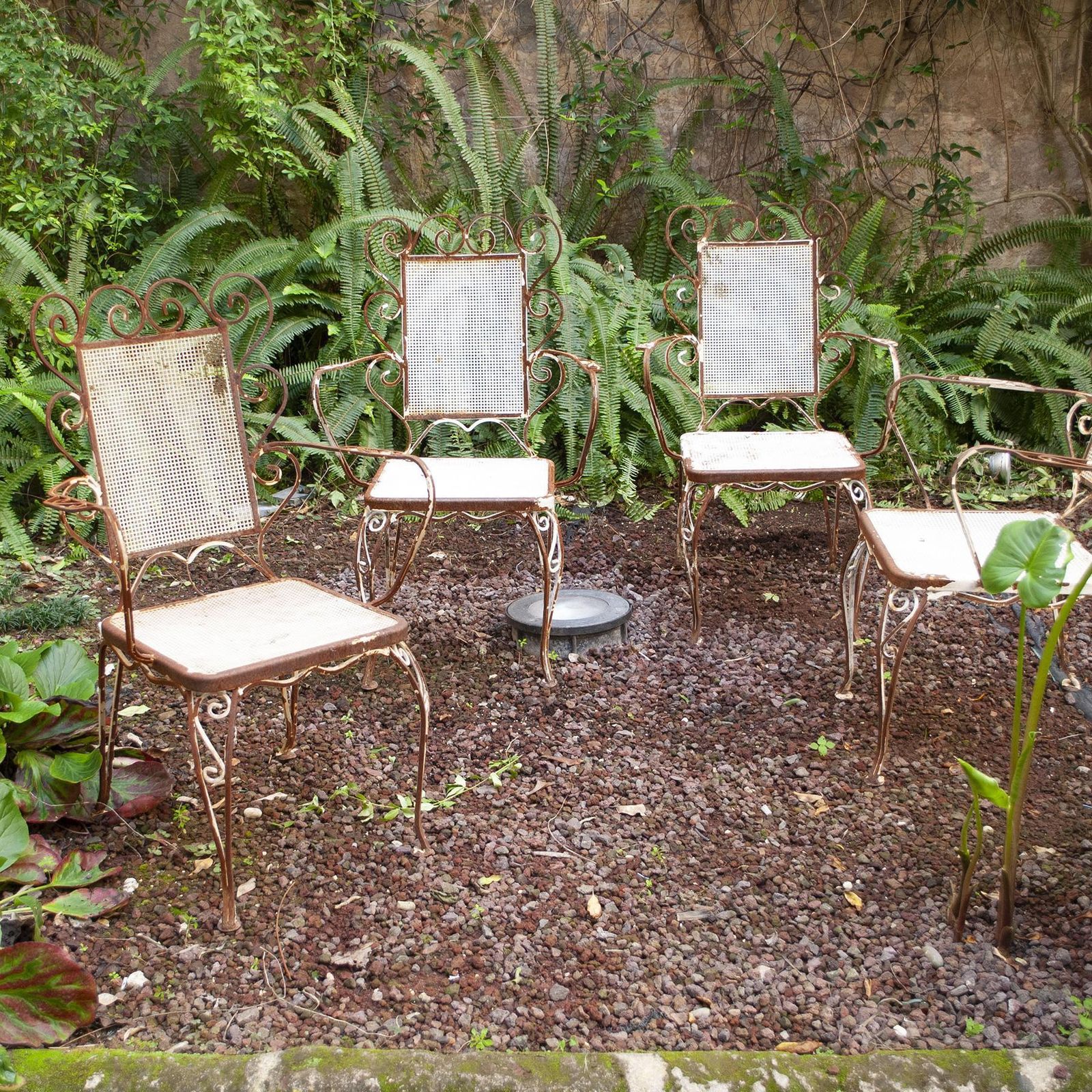 photo for sale Wrought Iron Chairs From The 1950s Casa E Giardino