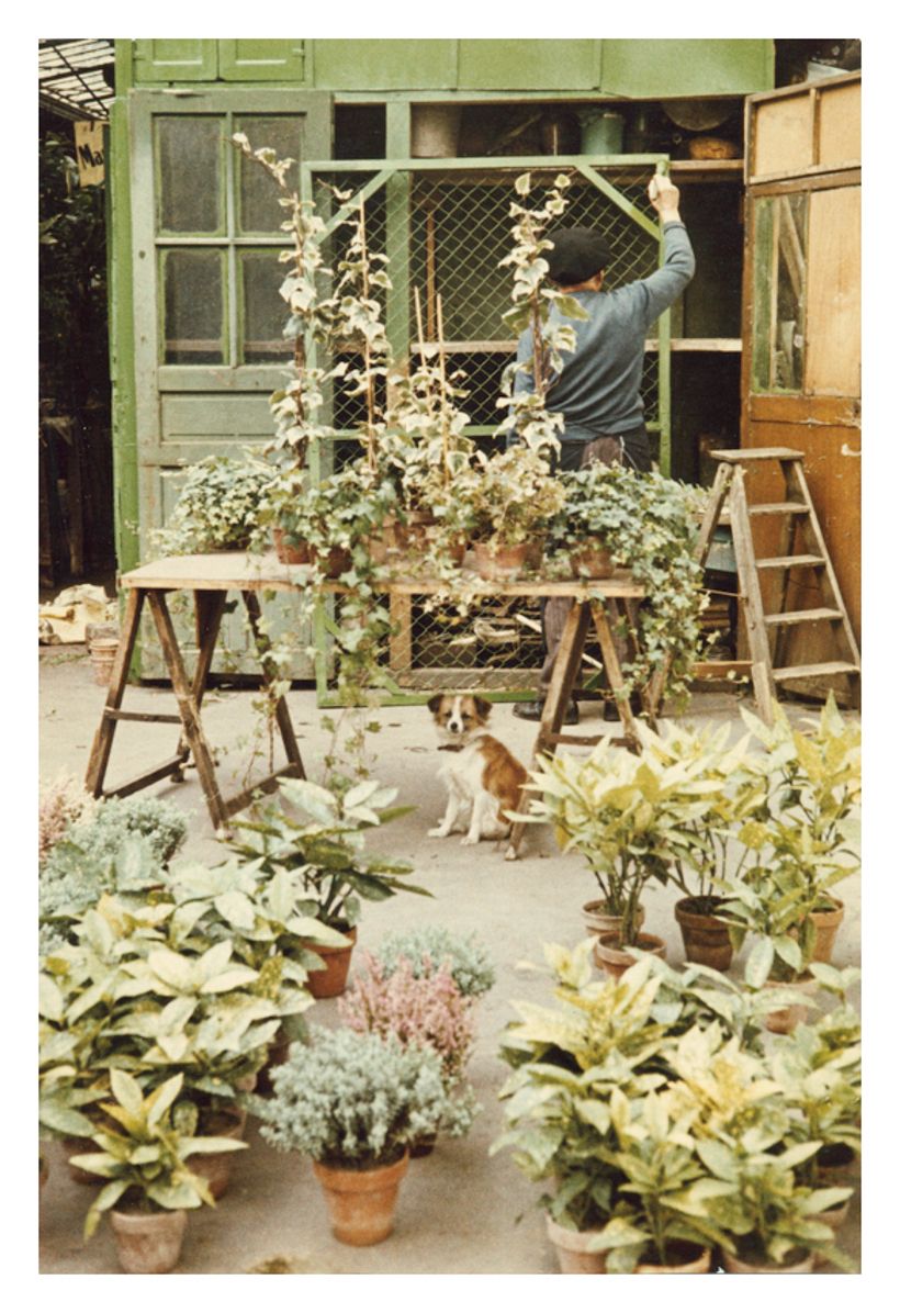 Paris Flower Market 16x20" Archival Pigment Print