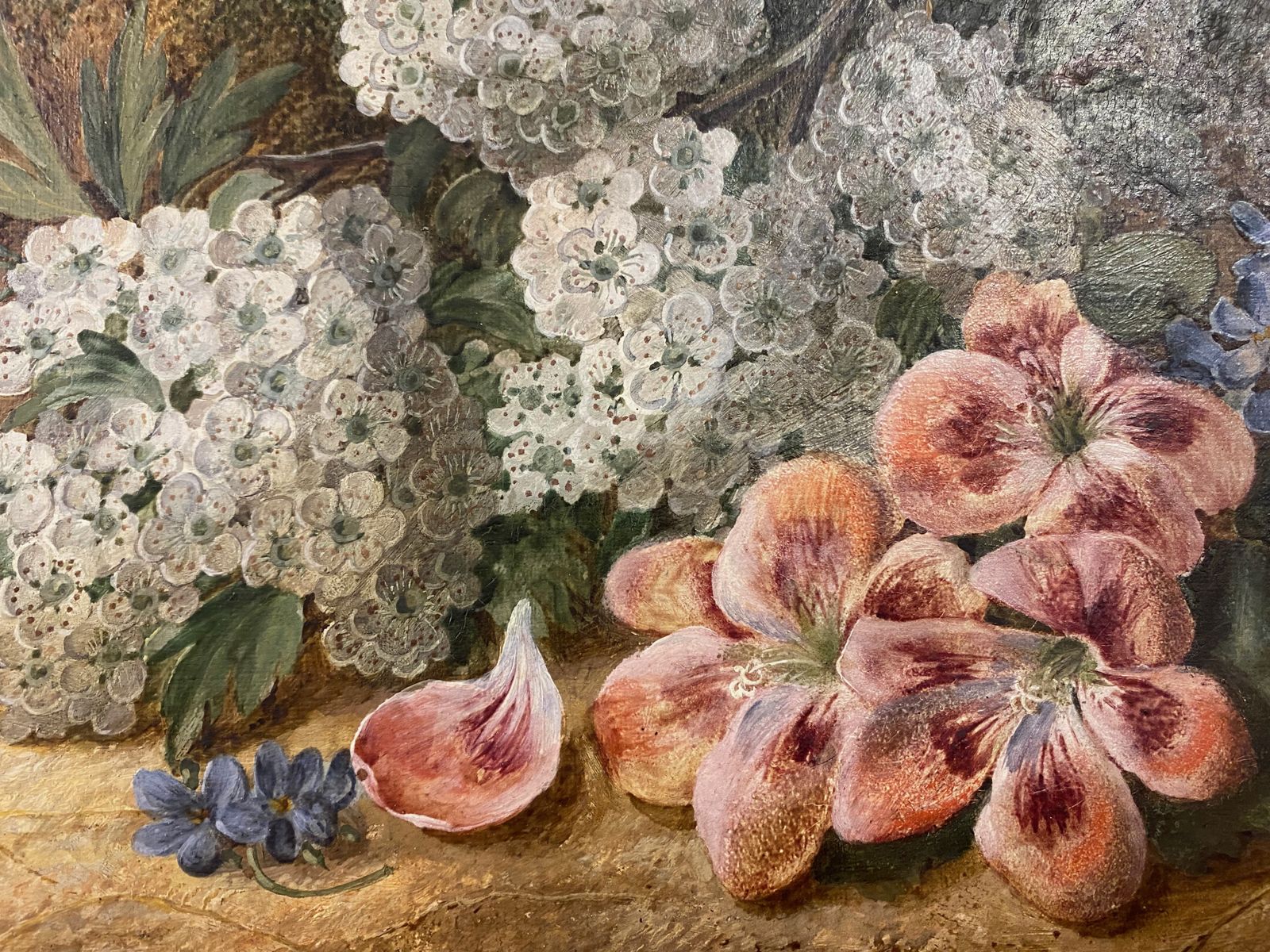 Botanical Still Life Oil On Canvas By Vincent Clare photo buy