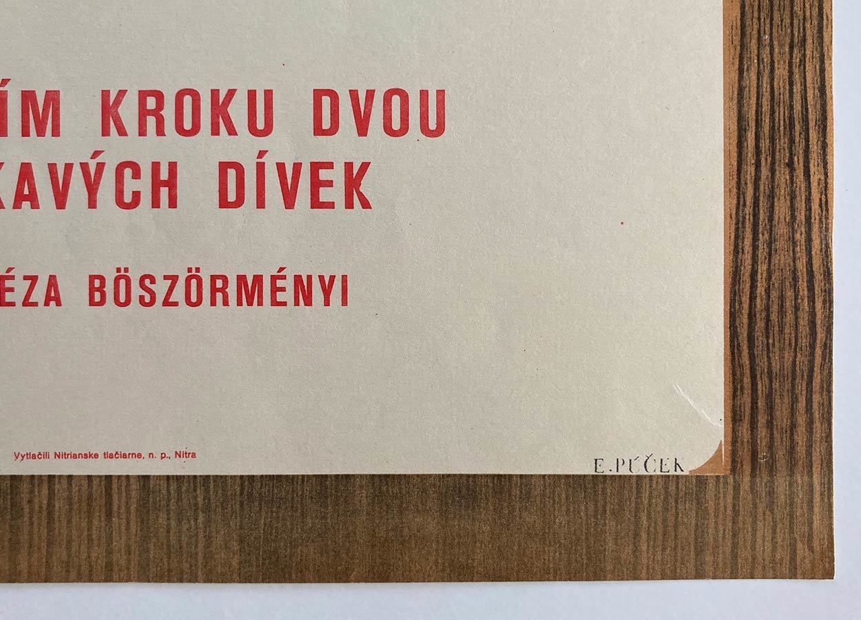 Movie Poster, Birdies, Ever Alexander Púček, 1972 photo vinterior