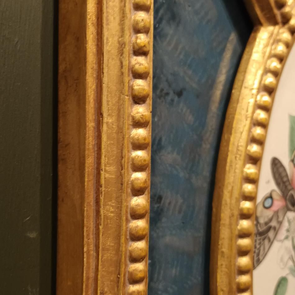 photo for sale A Pair Of Framed 19th Century Butterfly Prints