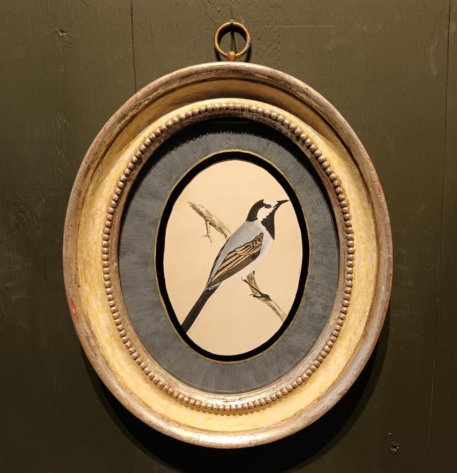 A Pair Of 19th Century Framed Bird Prints photo furniture