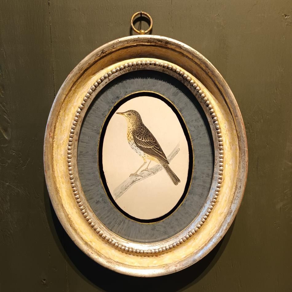 A Pair Of 19th Century Framed Bird Prints photo Art