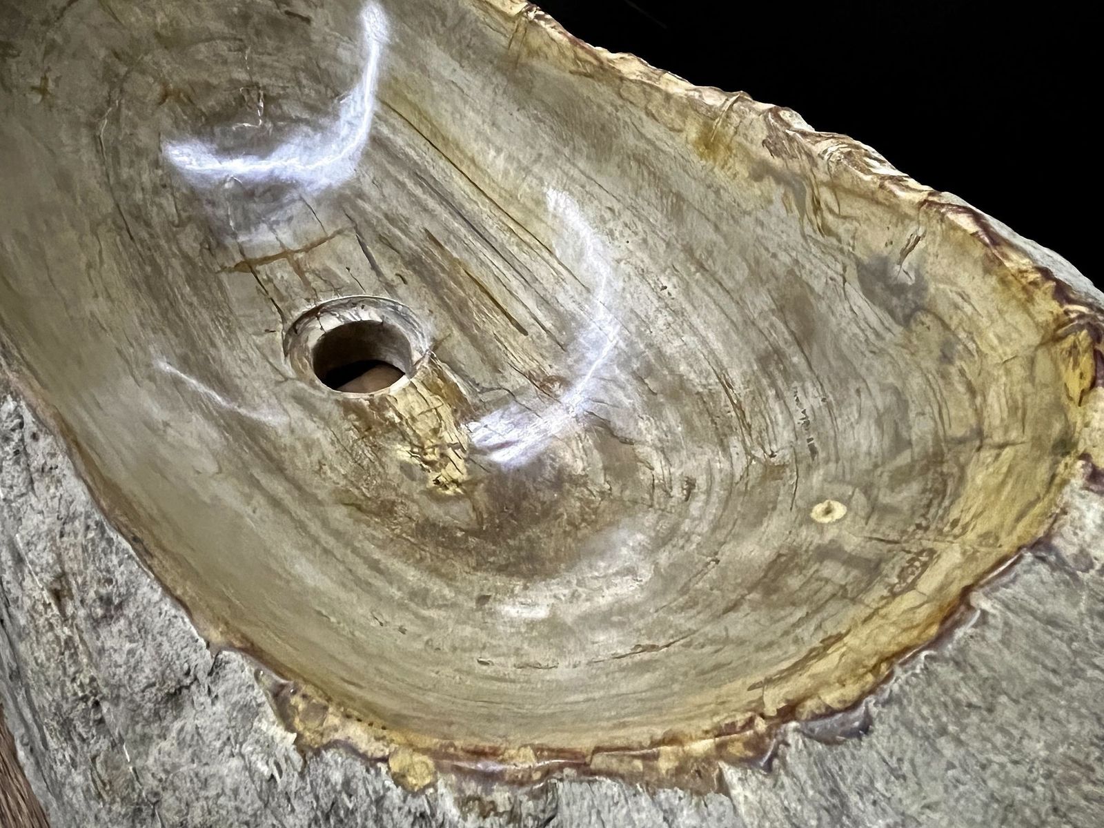 Petrified Wood Sink Organic Modern In Grey/ Beige/ Brown Tones, Top Quality photo for sale