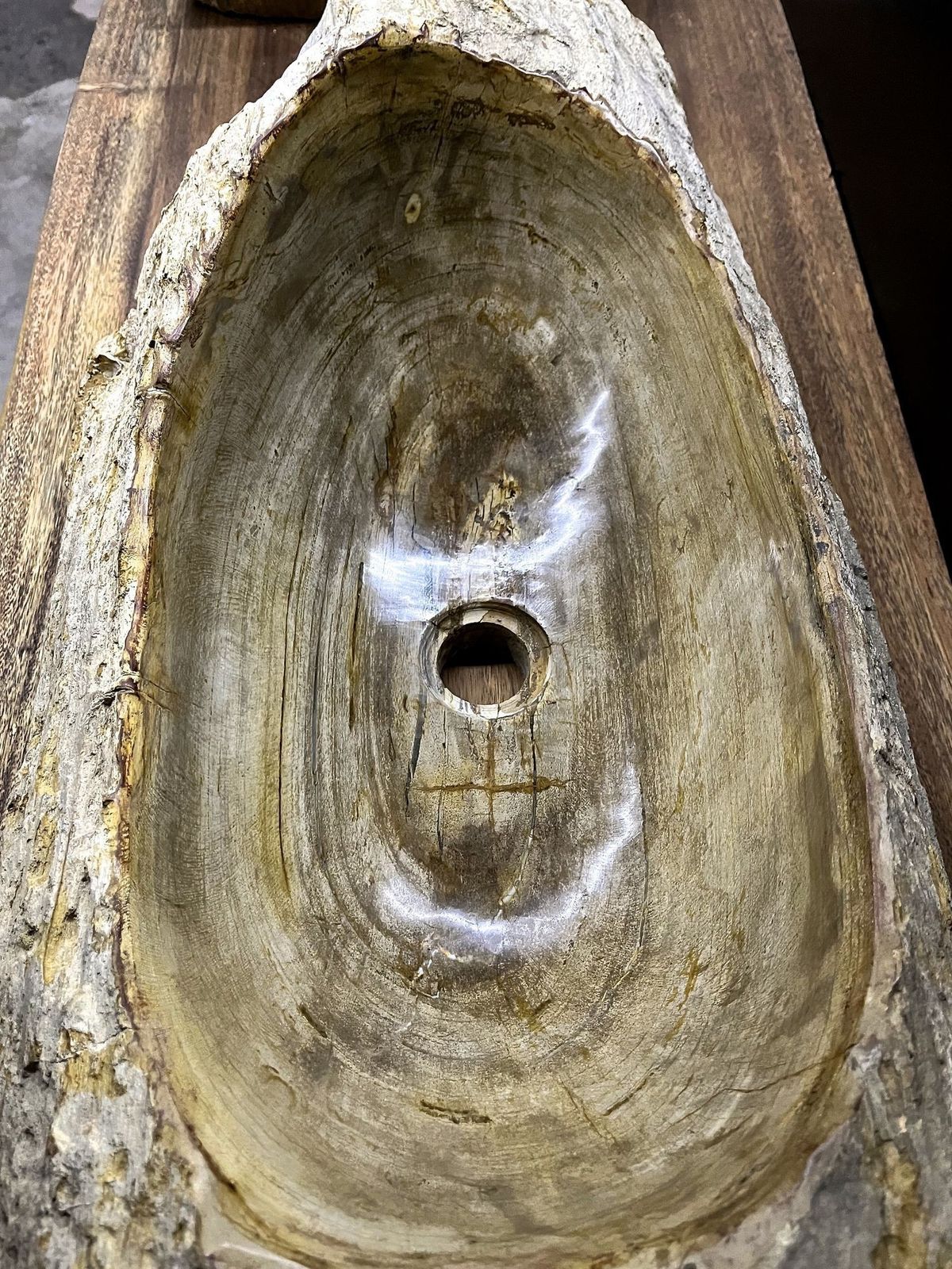 photo for sale Petrified Wood Sink Organic Modern In Grey/ Beige/ Brown Tones, Top Quality