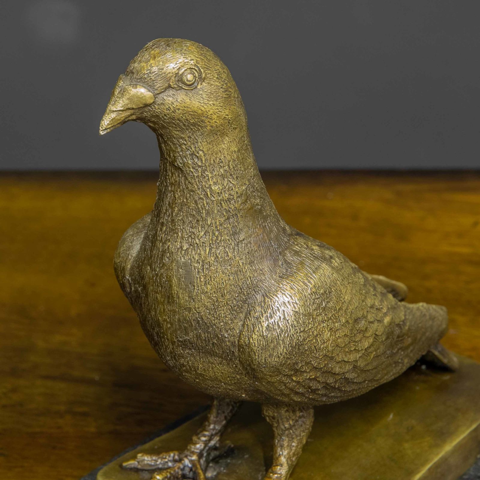 Bronze Racing Pigeon photo 1050.0