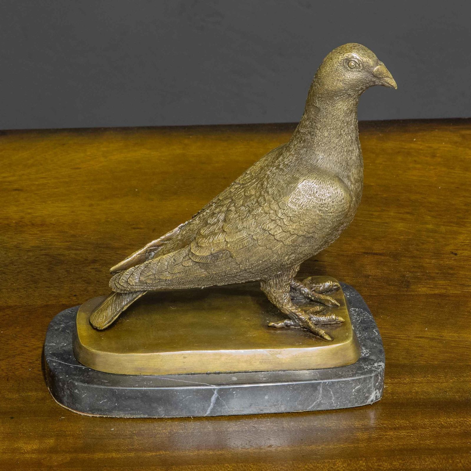 Bronze Racing Pigeon