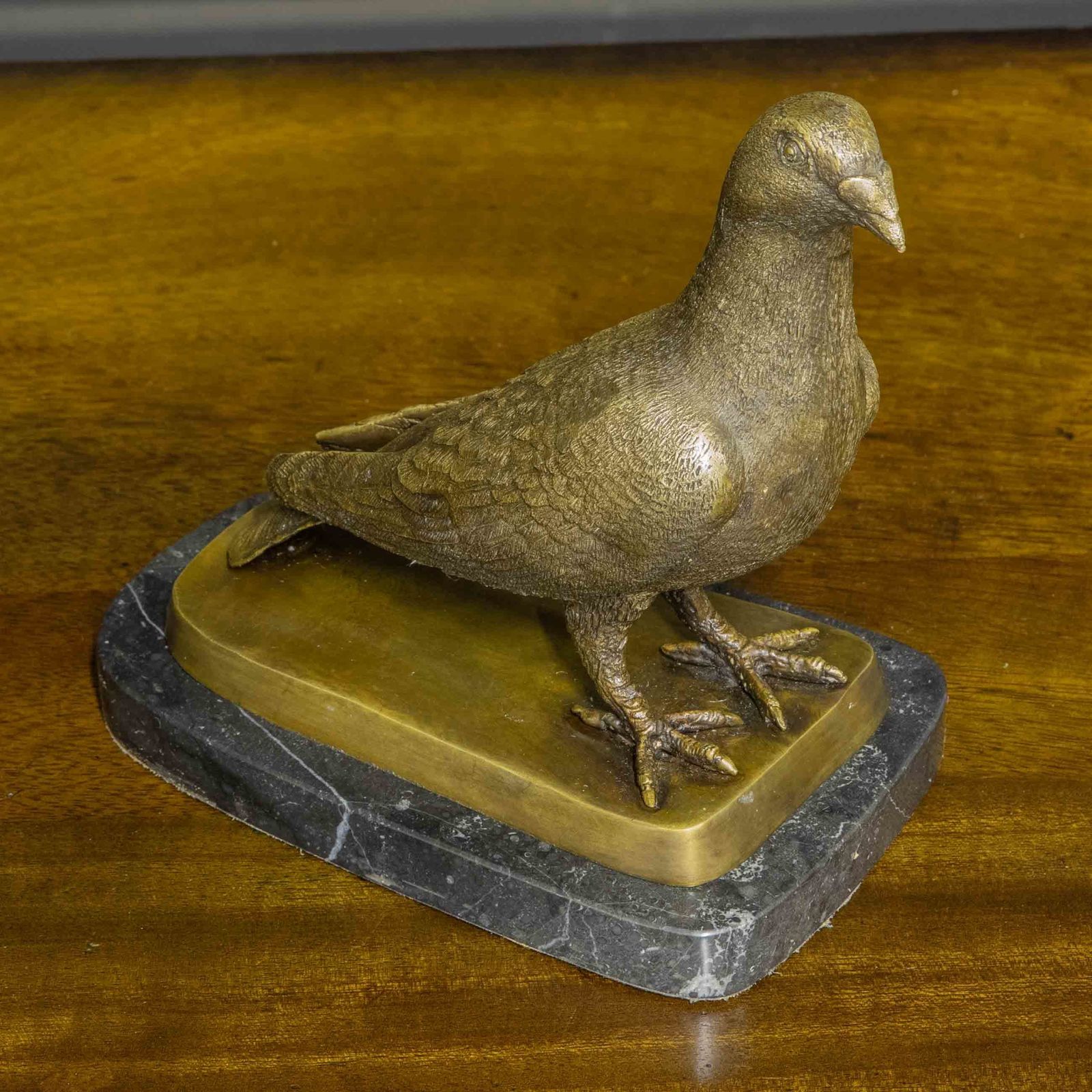 photo for sale Bronze Racing Pigeon