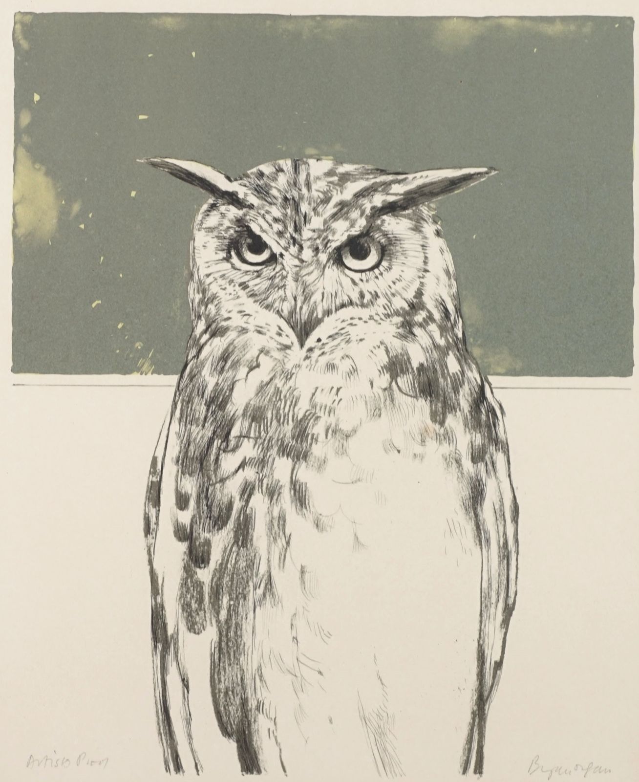 Bryan Organ, Pair Of Bird Lithographs, Peregrine Falcon And Eagle Owl photo furniture