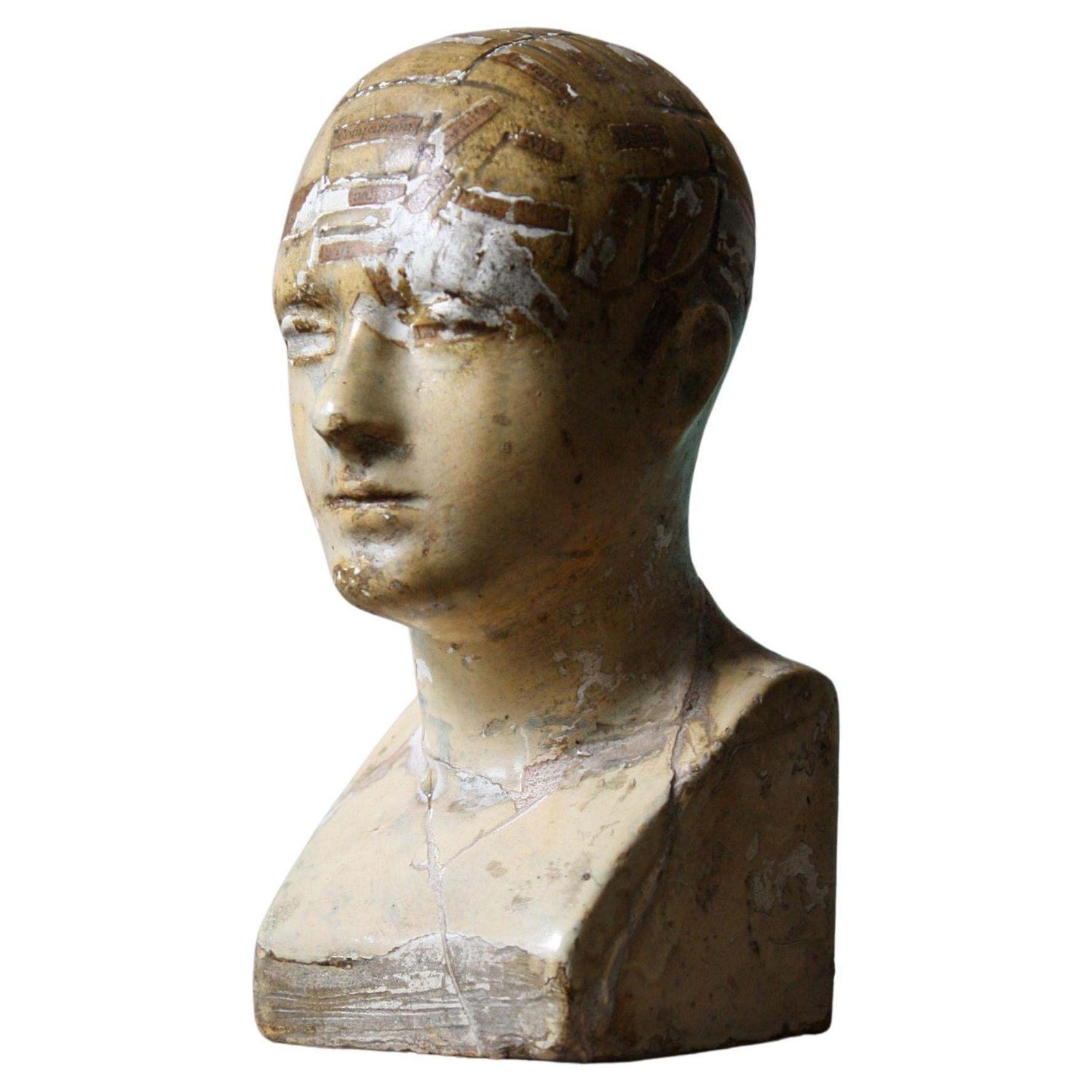995.0 19th Century Plaster Phrenology Bust By Vago Of London, 1869 photo