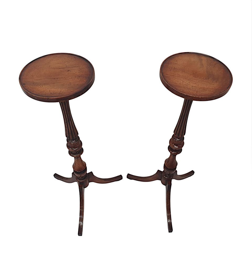 A Gorgeous Pair Of 20th Century Plant Stands photo Home Decor