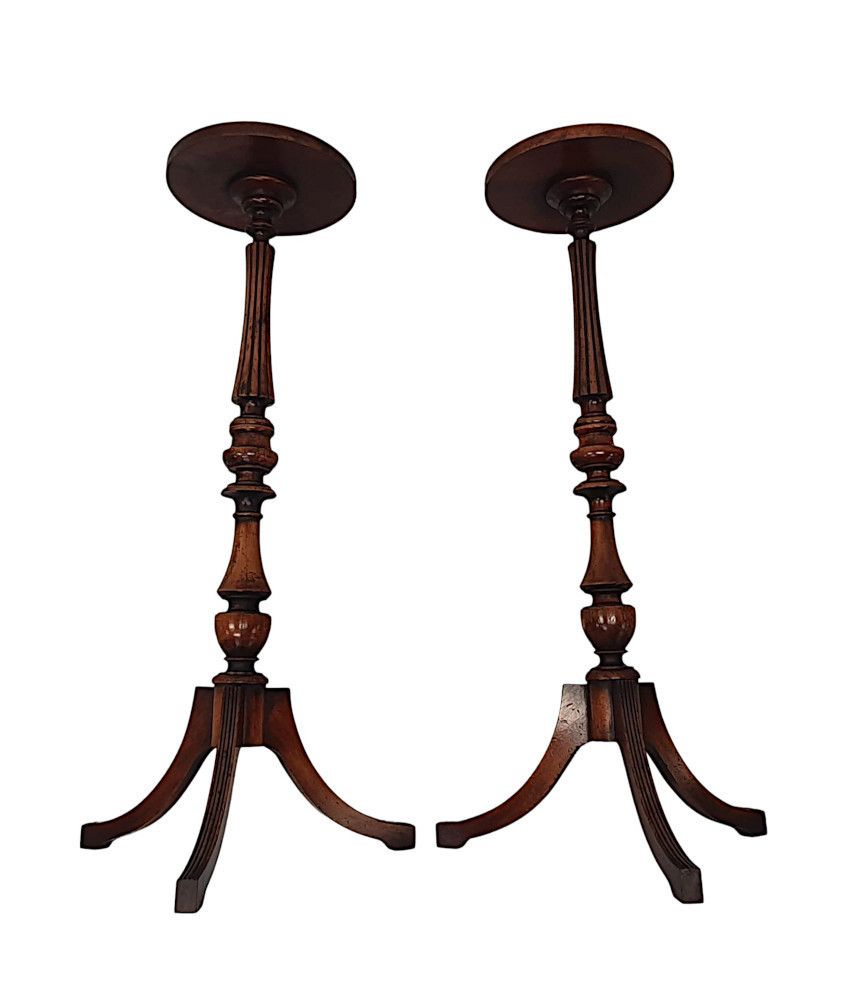 A Gorgeous Pair Of 20th Century Plant Stands photo 1896.3826
