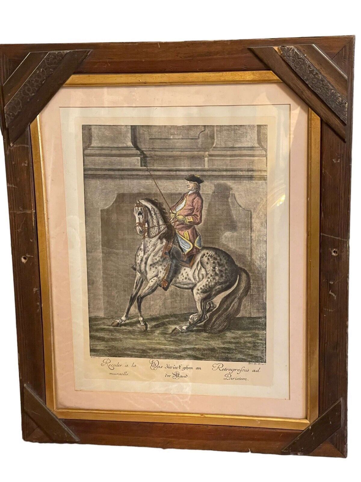Johann Elias Ridinger (1698 1767) Hand Coloured Engraving 1734 photo buy