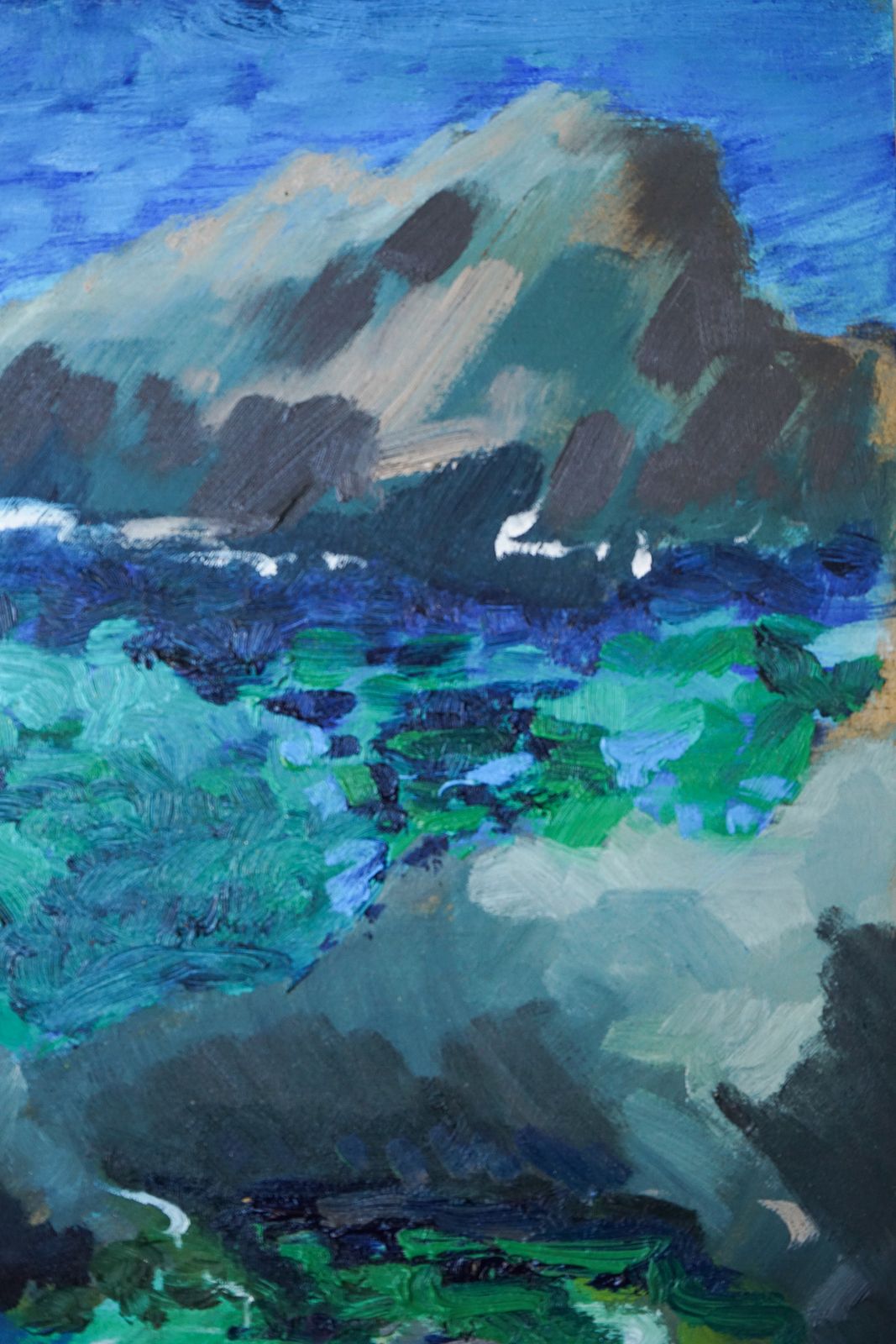 Fosca Bay   Costa Brava   En Plein Air Oil Study photo buy