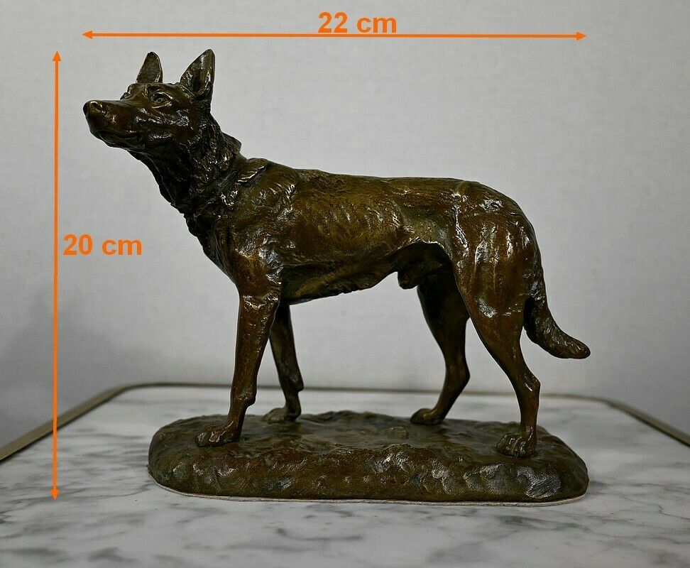 photo vinterior Bronze “The German Shepherd”, After Pa. Laplanche – Early 20th Century