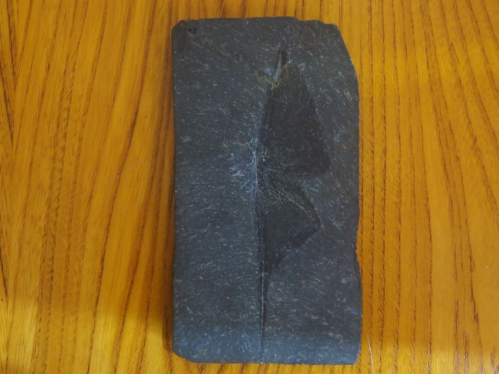 Fossil Delabole Butterfly, Stone photo for sale